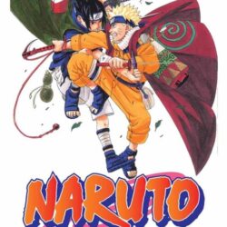 Naruto 20