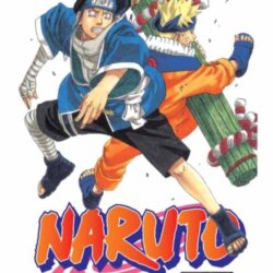 Naruto 22
