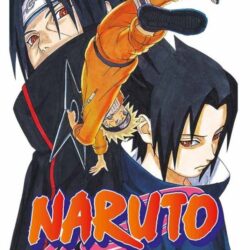 Naruto 25