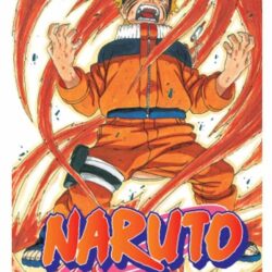 Naruto 26