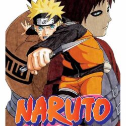 Naruto 29