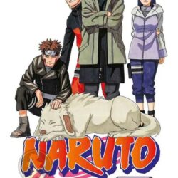 Naruto 34