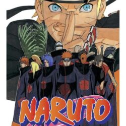 Naruto 41