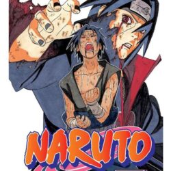 Naruto 43
