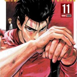 One Punch Man 11