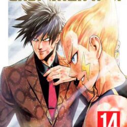 One Punch Man 14