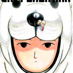 One Punch Man 15