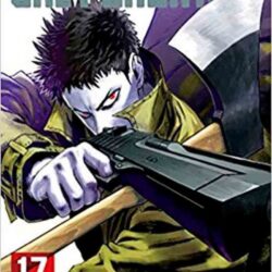 One Punch Man 17