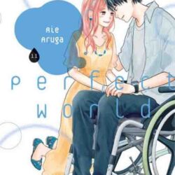 Perfect World 11
