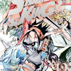 Shaman King 12 (Edición Deluxe)