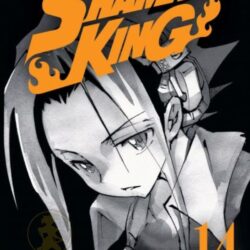Shaman King 14 (Edición Deluxe)