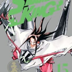 Shaman King 15 (Edición Deluxe)