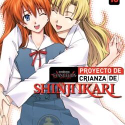 Evangelion: Proyecto de Crianza de Shinji Ikari 10
