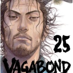 Vagabond 25