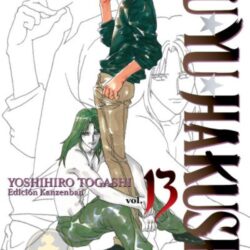 Yu Yu Hakusho (Ed. Kanzenban) 13