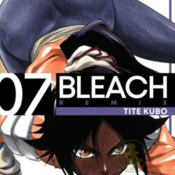 Bleach Remix 07