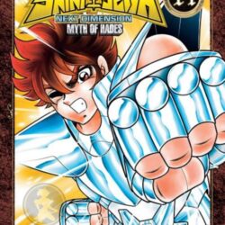 Saint Seiya Next Dimension 14