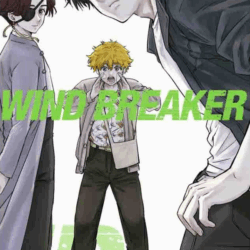 Wind Breaker 10