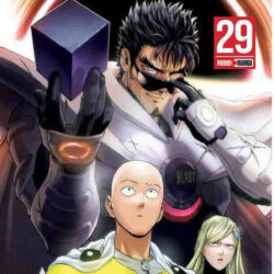 One Punch Man 29