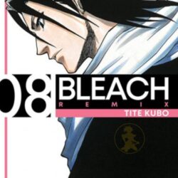 Bleach Remix 08