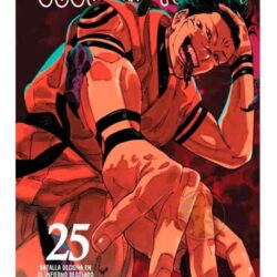 Jujutsu Kaisen 25