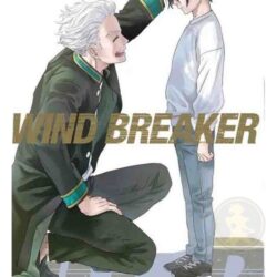Wind Breaker 12