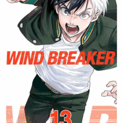 Wind Breaker 13