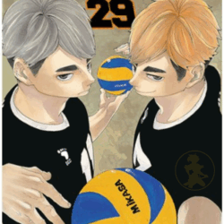 Haikyu!! 29