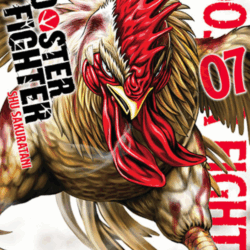 Rooster Fighter 07