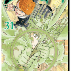 Black Clover 31