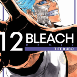Bleach Remix 12