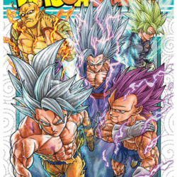 Dragon Ball Super 24