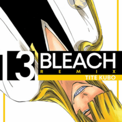Bleach Remix 13
