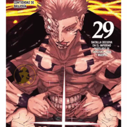 Jujutsu Kaisen 29