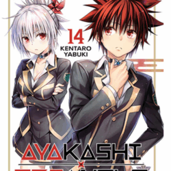 Ayakashi Triangle 14