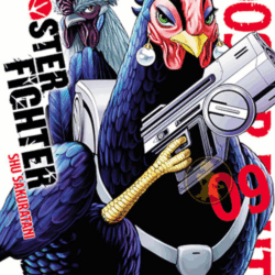 Rooster Fighter 09