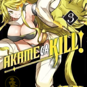 Akame Ga Kill 03