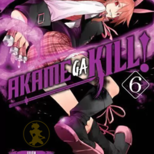 Akame Ga Kill 06
