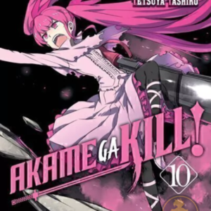 Akame Ga Kill 10