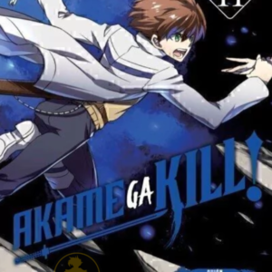 Akame Ga Kill 11