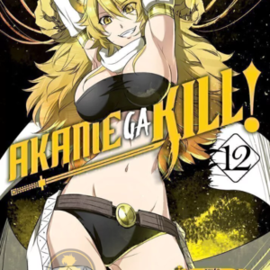 Akame Ga Kill 12