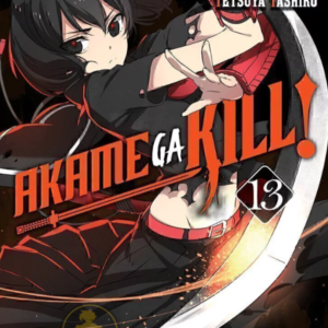 Akame Ga Kill 13