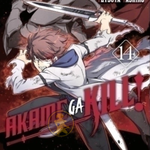Akame Ga Kill 14
