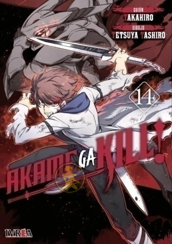 Akame Ga Kill 14