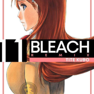 Bleach Remix 11