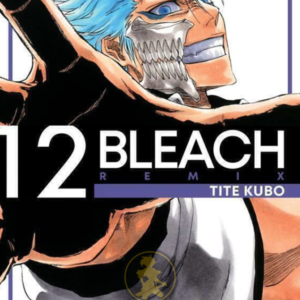 Bleach Remix 12