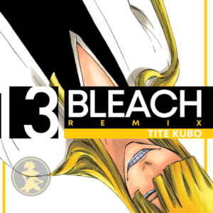 Bleach Remix 13