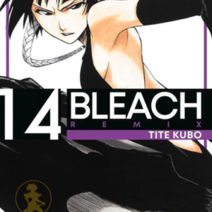 Bleach Remix 14