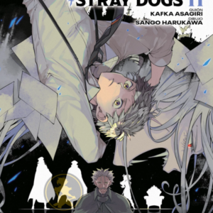 Bungo Stray Dogs 11