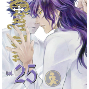 D Gray Man 25